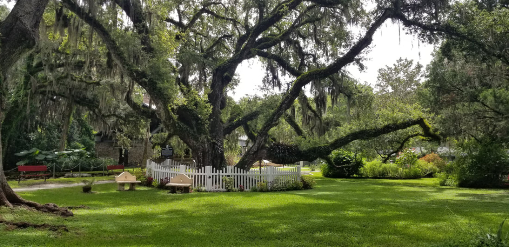 Port Orange Housing Market Update