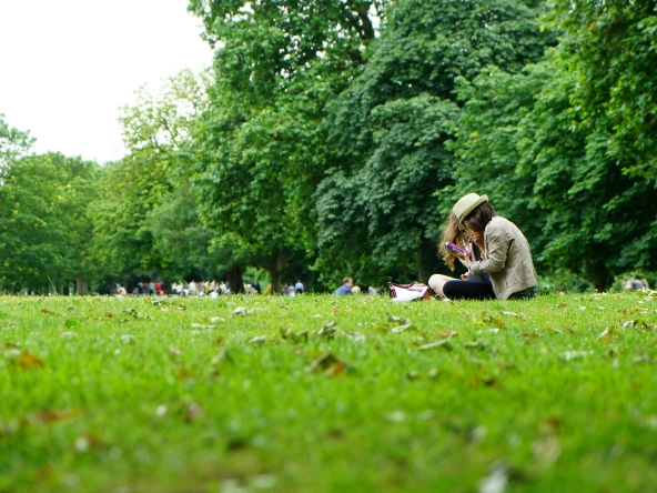 Local Amenities Property Impact