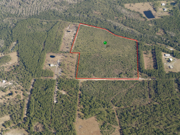 vacant land in Pierson Florida