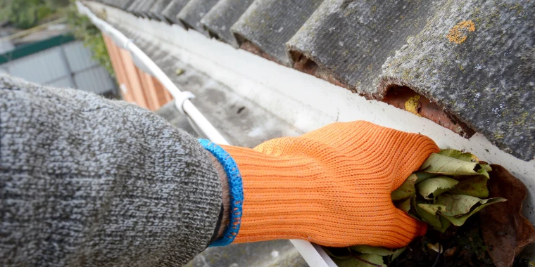 Cleaning Your Gutters