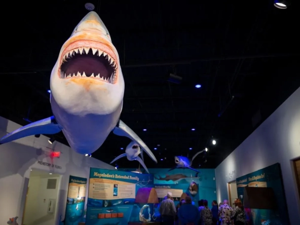 Daytona Museum Kids Free Month